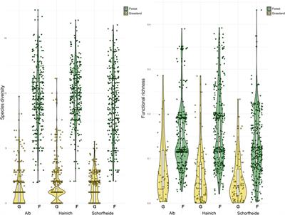 Supporting bird diversity and ecological function in managed grassland and forest systems needs an integrative approach